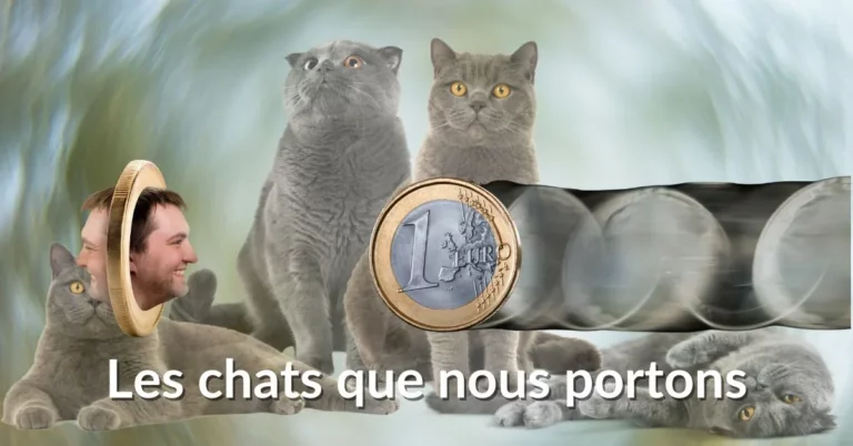 Lire la suite à propos de l’article Les chats que nous portons
