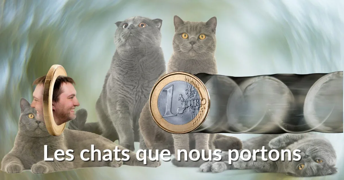 Lire la suite à propos de l’article Les chats que nous portons