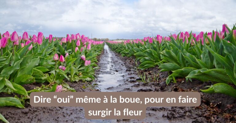 Lire la suite à propos de l’article Dire “oui” même à la boue, pour en faire surgir la fleur