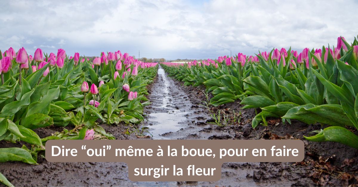 Lire la suite à propos de l’article Dire “oui” même à la boue, pour en faire surgir la fleur