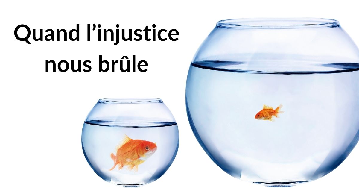 Lire la suite à propos de l’article Quand l’injustice nous brûle