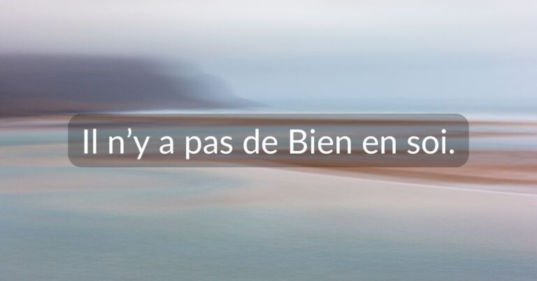 Lire la suite à propos de l’article Il n’y a pas de Bien en soi.