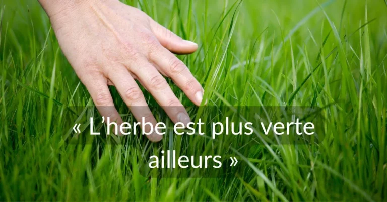 Lire la suite à propos de l’article « L’herbe est plus verte ailleurs »